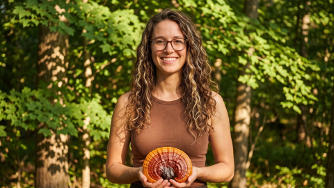De fascinerende Reishi (Ganoderma lucidum)